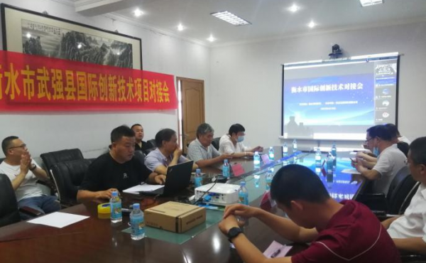 Technologie innovante internationale de Hengshui Réunion d'amarrage en ligne du projet à Wuqiang