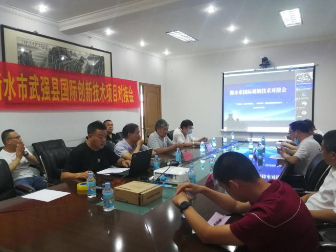 Technologie innovante internationale de Hengshui Réunion d'amarrage en ligne du projet à Wuqiang